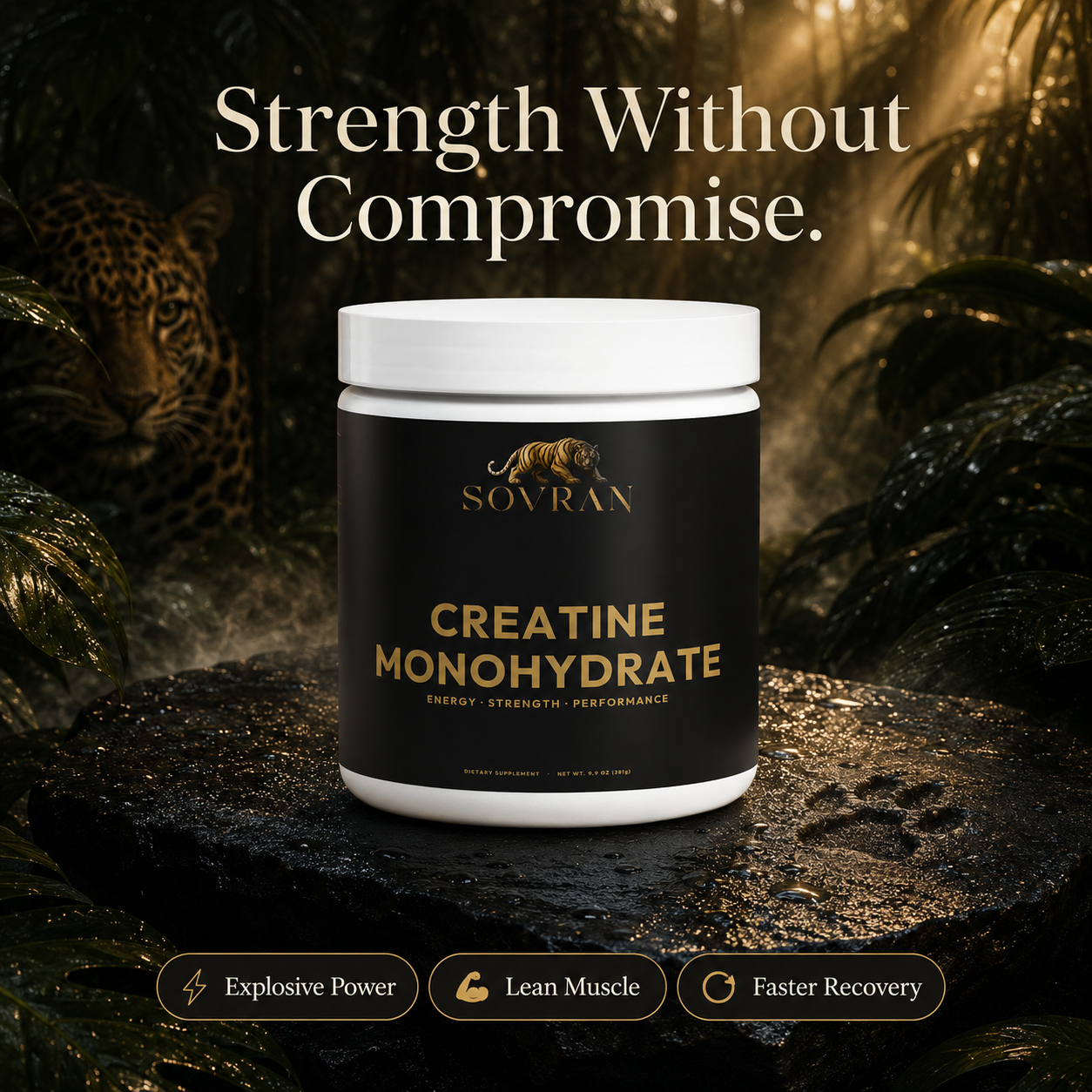 Sovran Creatine Monohydrate strength supplement on rain-kissed jungle stone with a jaguar
